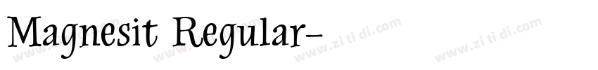 Magnesit Regular字体转换
